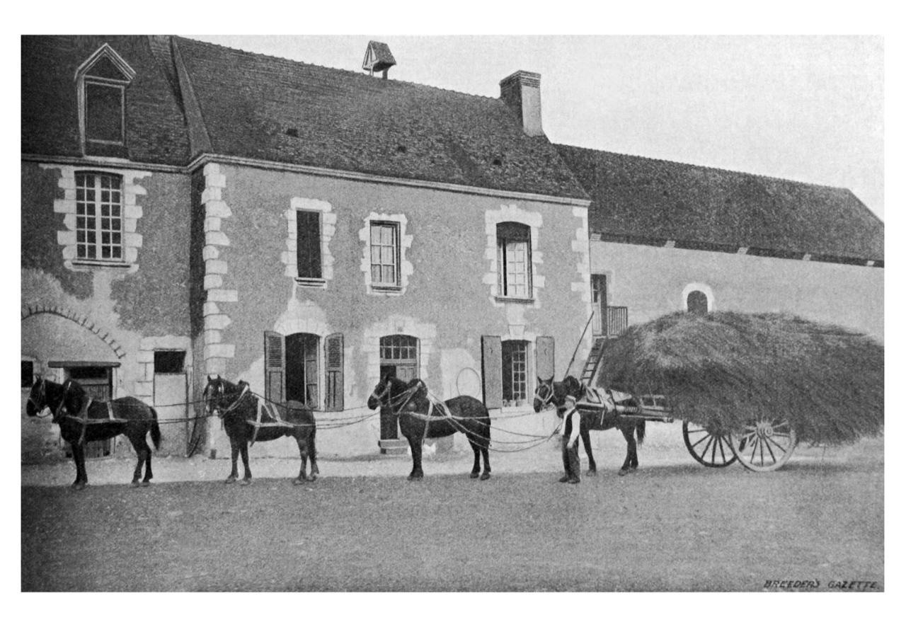Manoir Du Bois Joly - Cabanes De Berger Margon (Eure-et-Loir) Exterior foto